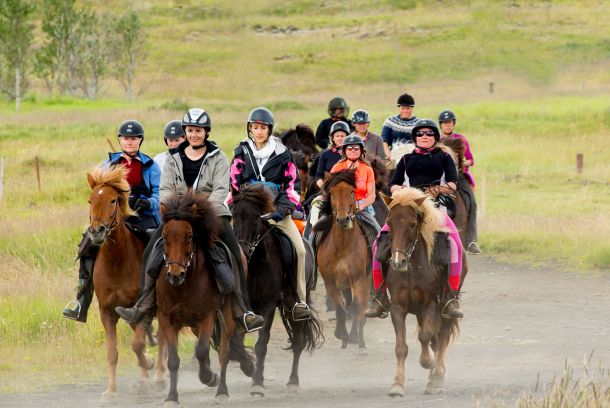 riding tour Iceland