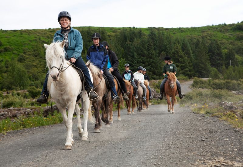 Horseback riding reykjavik
