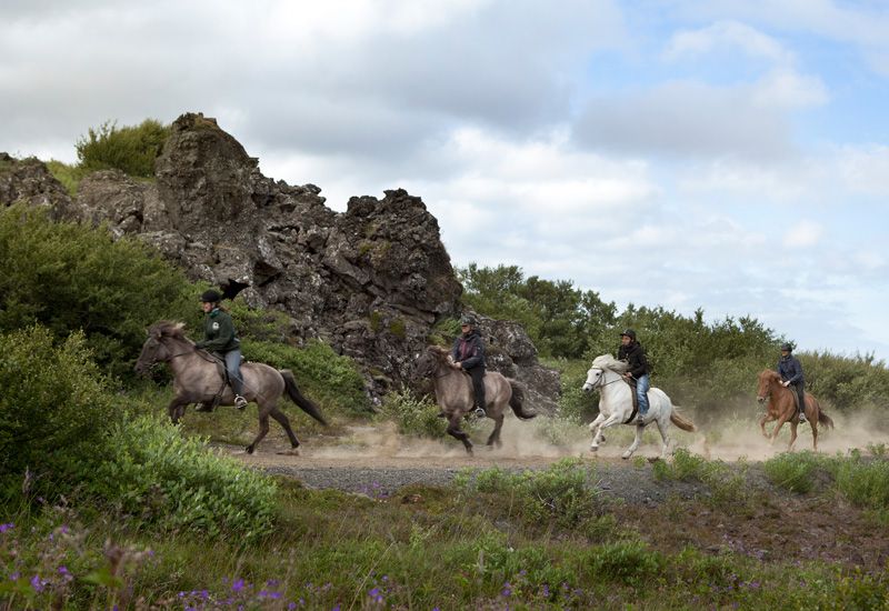 horseback riding iceland