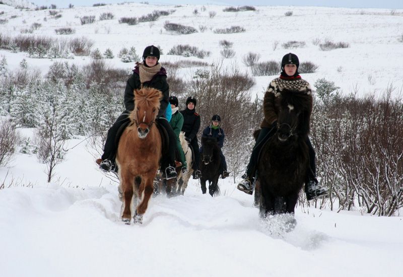 Iceland riding